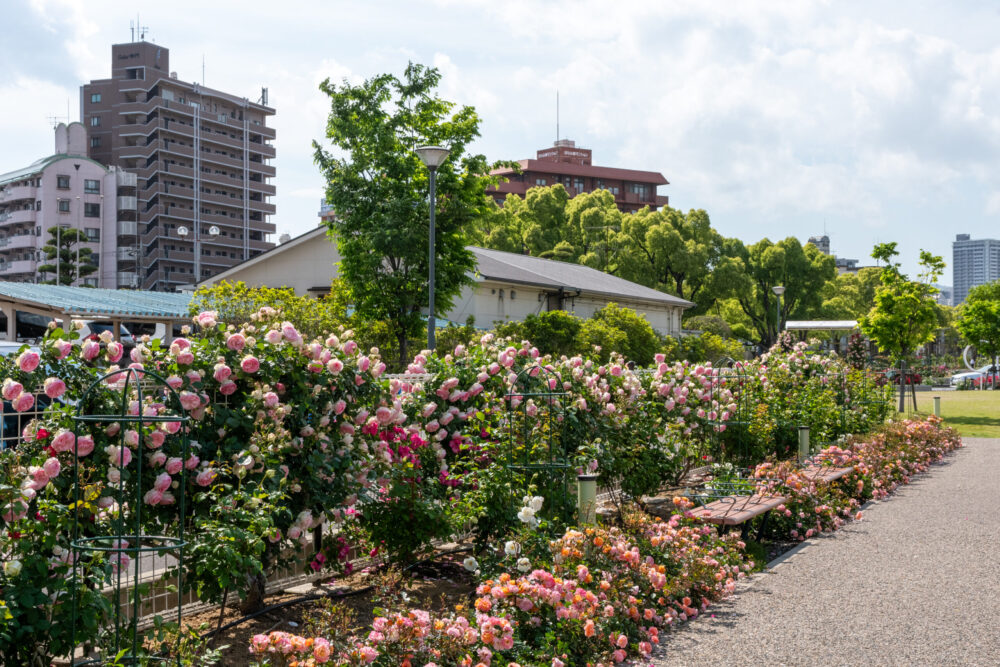 花園公園