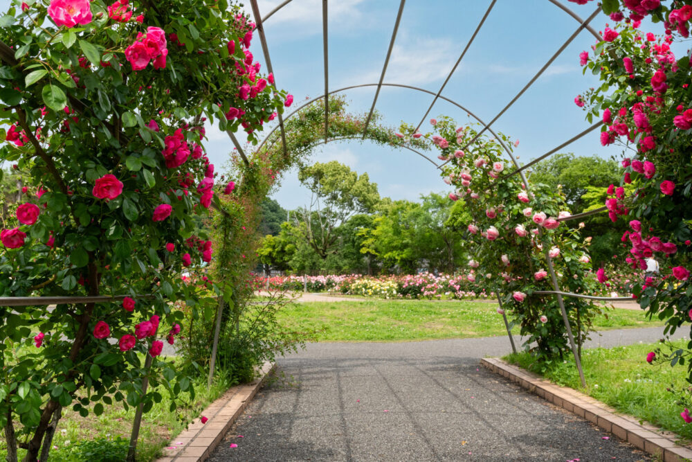 春日池公園