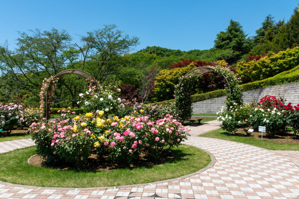 福山市園芸センター