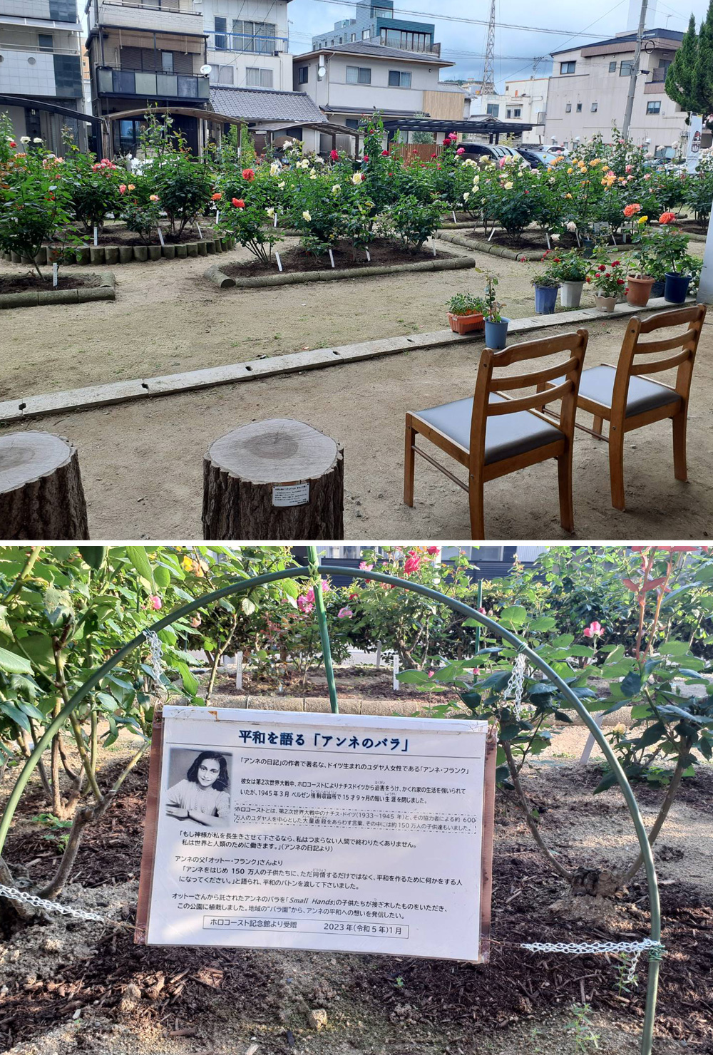 若松バラ園