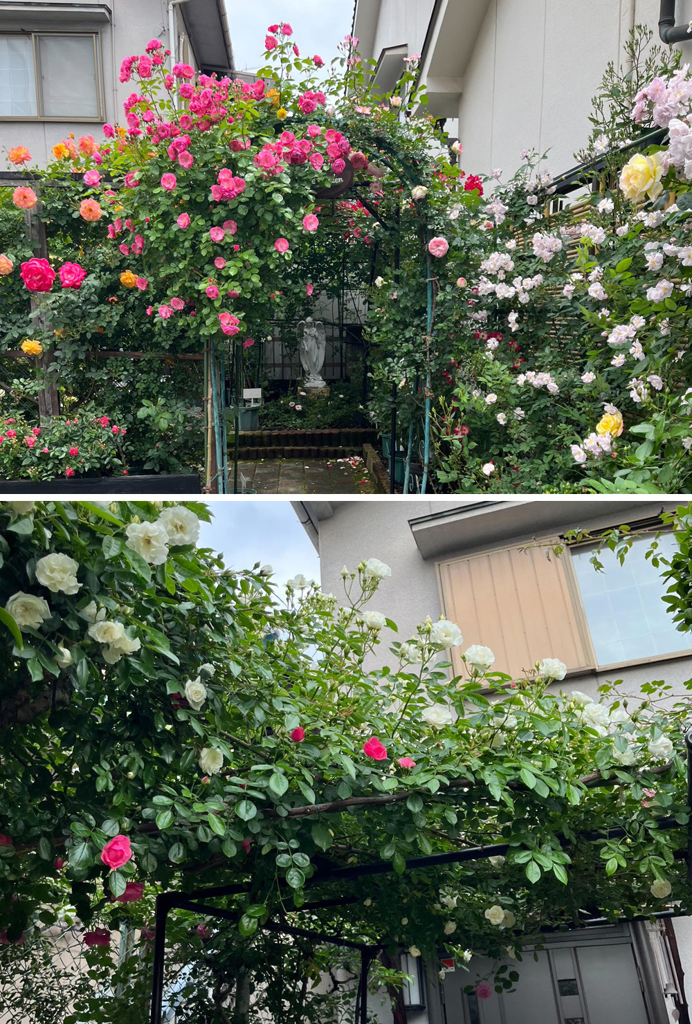 Petite Rose Garden~小さなばら園~